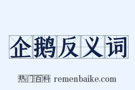 企鹅反义词是什么意思的图片